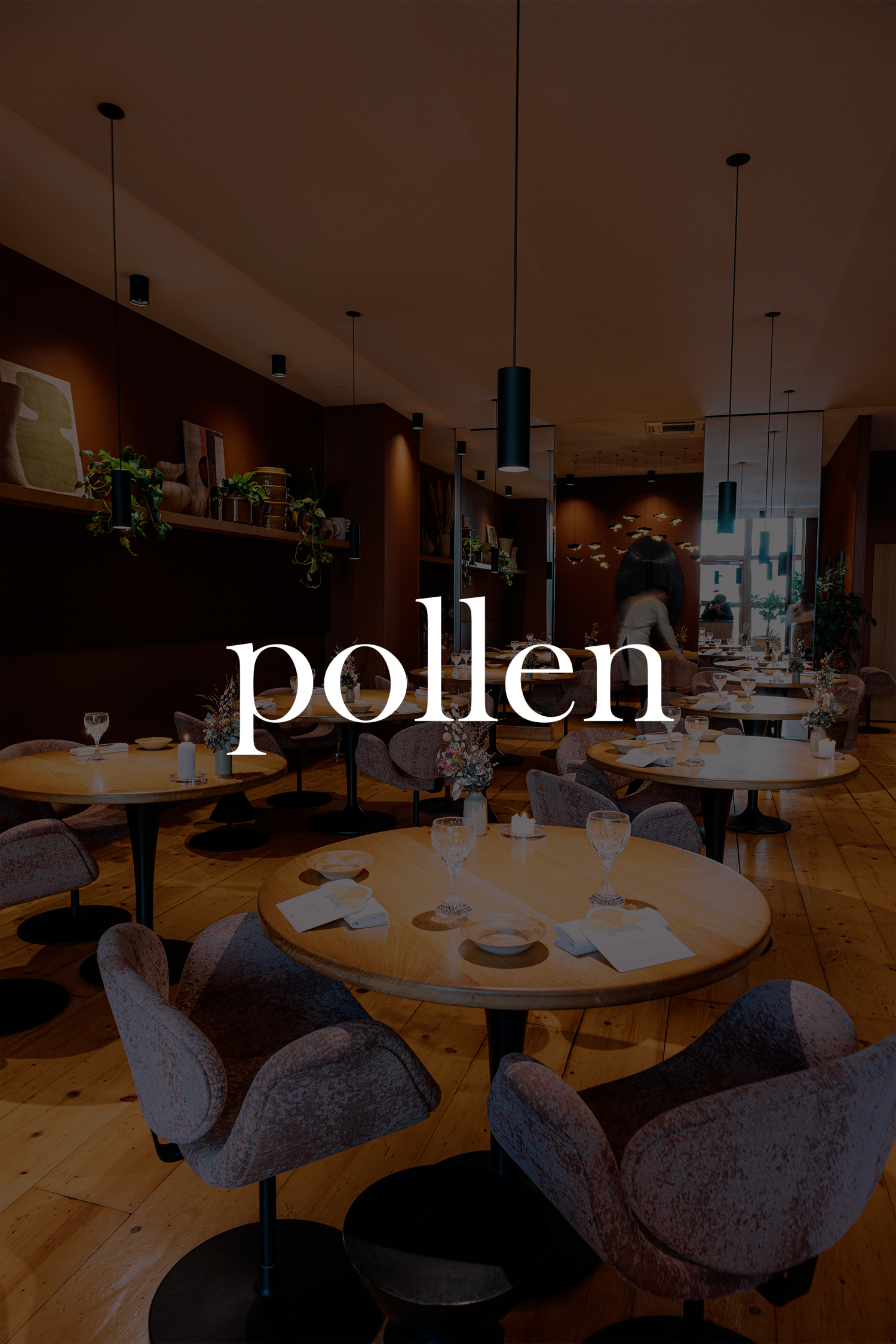 home-color-pollen