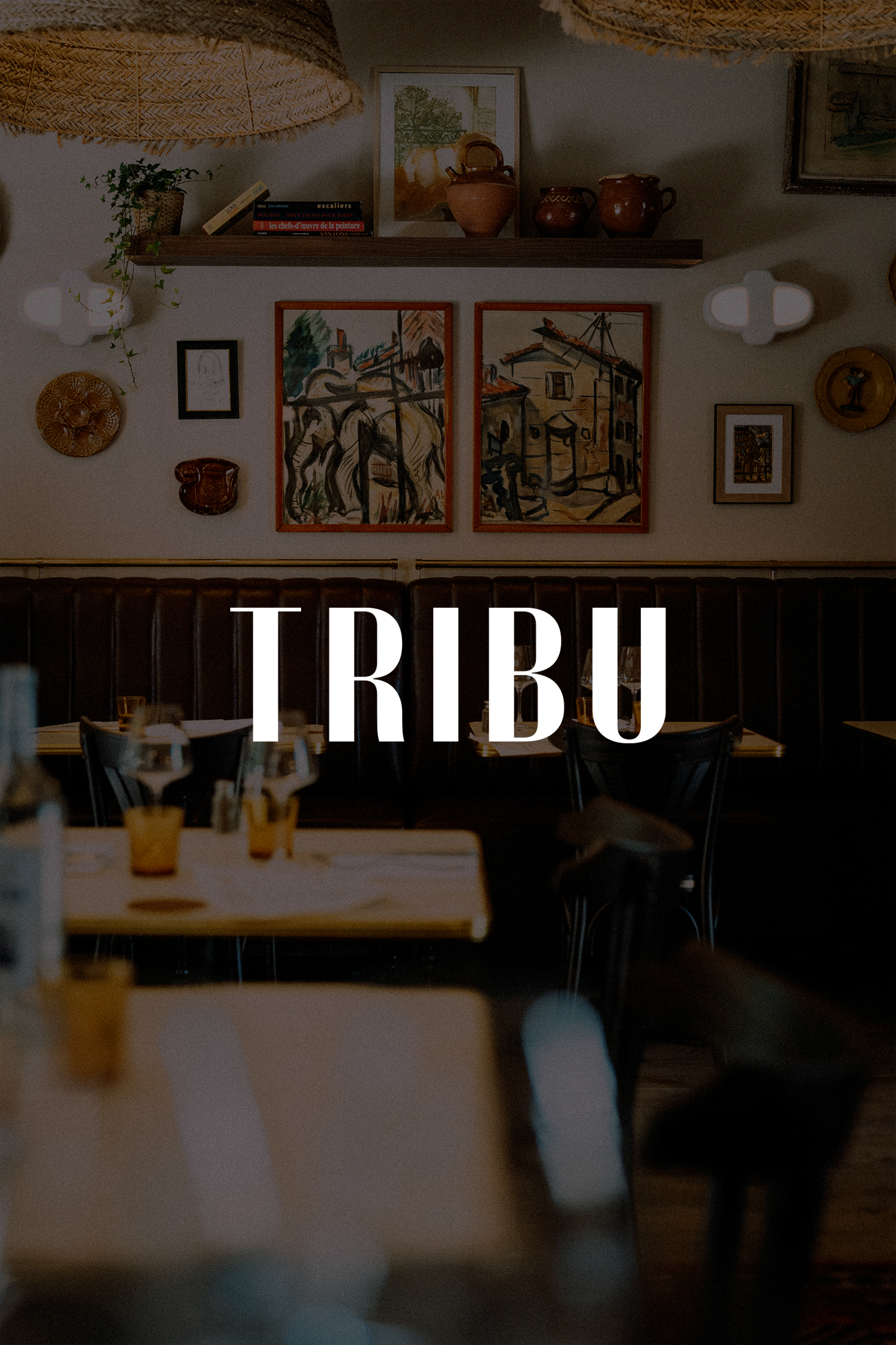 home-color-tribu